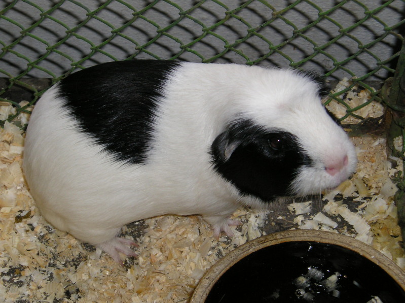 200708150010.jpg