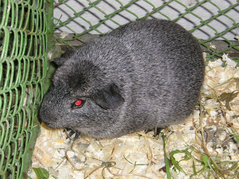 200708150011.jpg