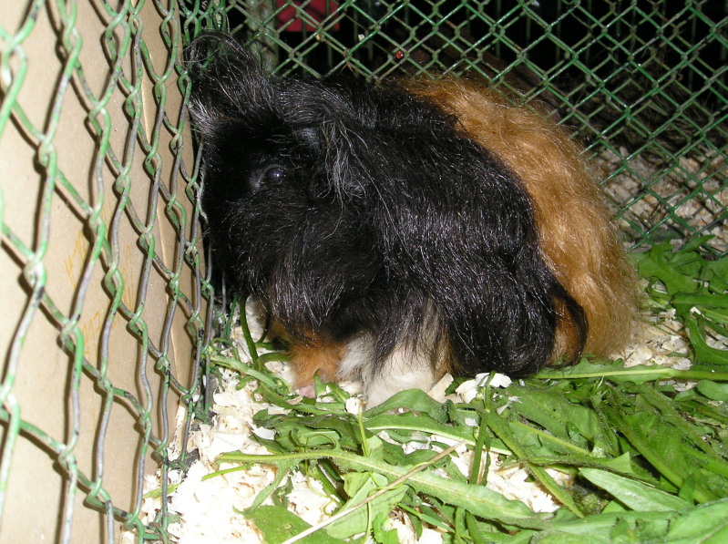 200708150002.jpg