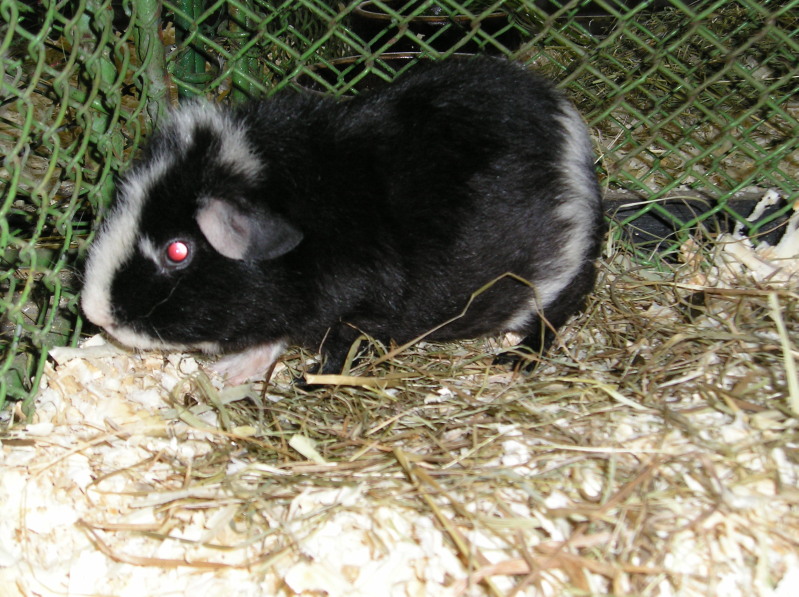 200708150016.jpg