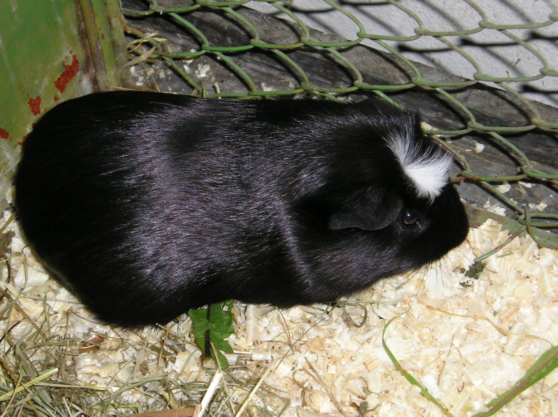 200708150009.jpg