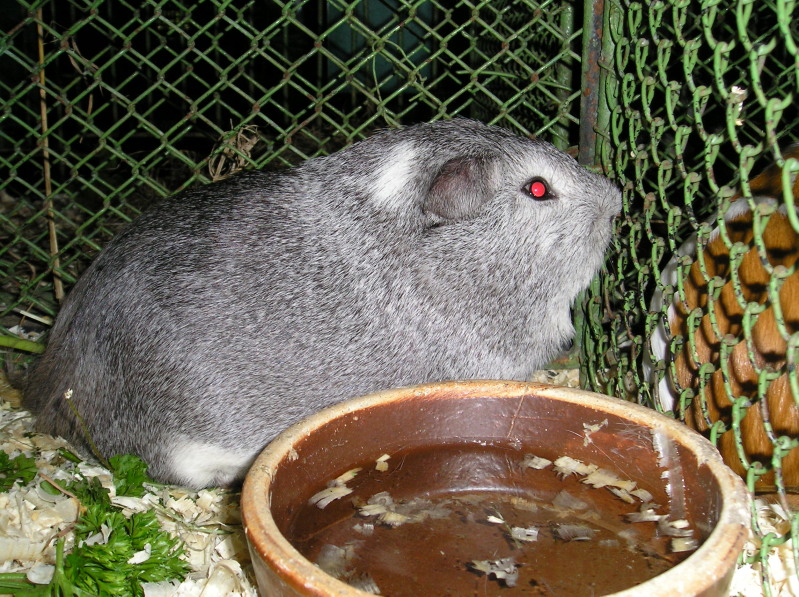 200708150001.jpg